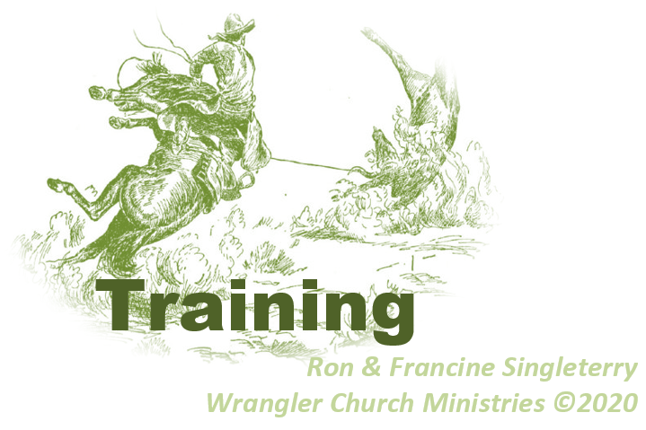 TRAINING LOGO