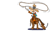 cowboy4 w