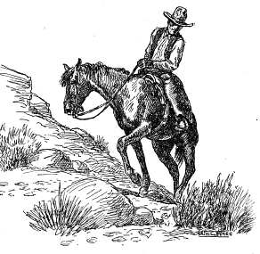 trailhorse